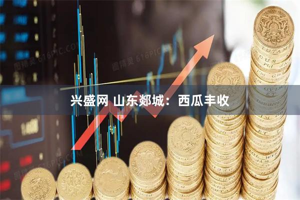 兴盛网 山东郯城：西瓜丰收